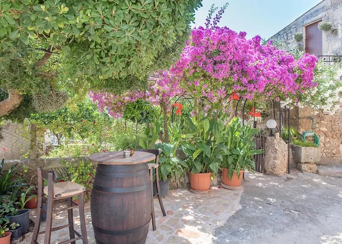 Finca Son Sole