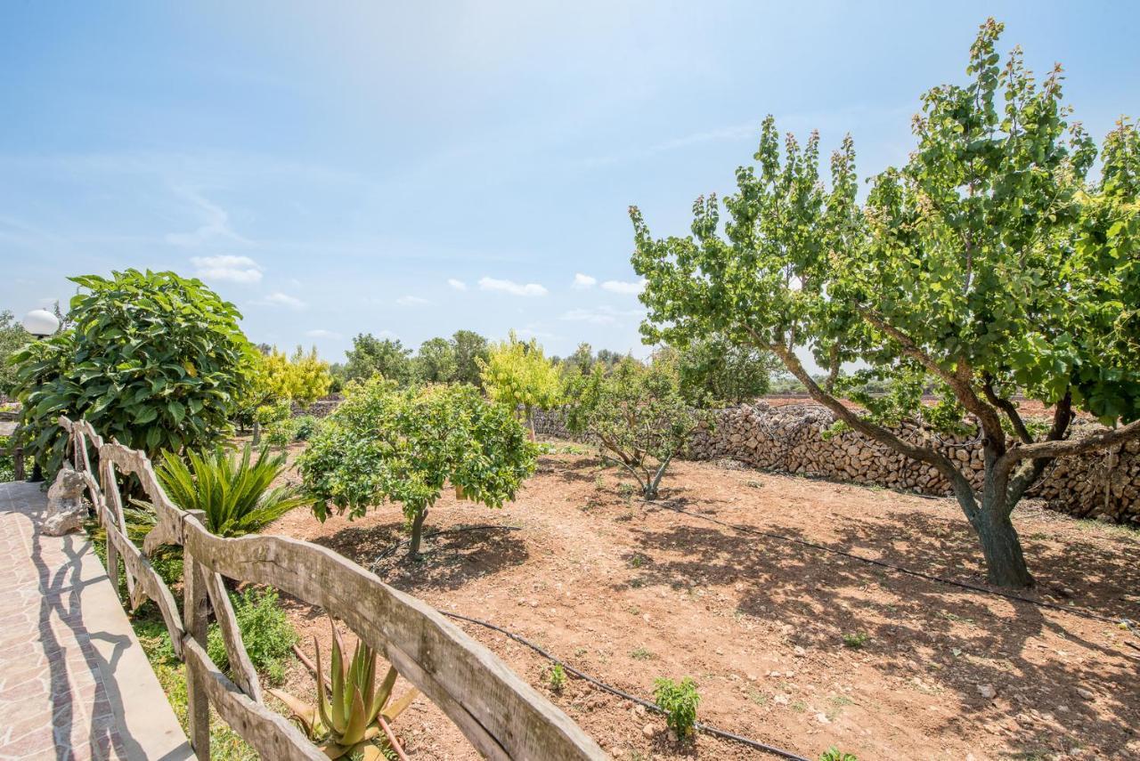 Semesterbostad Finca Son Sole *